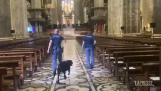 Berlusconi, polizia cinofila ispeziona il Duomo di Milano prima dei funerali
