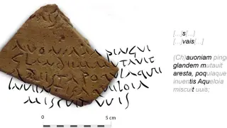 Fragmento del ánfora romana de aceite de la Bética encontrada en Hornachuelos con versos de Virgilio.