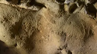 Una cueva en Francia alberga los grabados más antiguos hechos por neandertales.