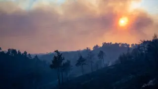 Wildfire burns in a forest near Lardos