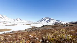 El-noroeste-de-Groenlandia-estuvo-libre-de-hielo-hace-400.000-anos