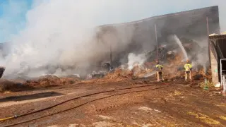 Dos bomberos trabajan para controlar el fuego declarado en una explotación agropecuaria de La Ginebrosa.