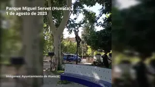 El Ayuntamiento revisa el parque Miguel Servet para poder reabrirlo antes de las fiestas de San Lorenzo