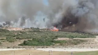 Imagen del incendio en un paraje de La Línea de la Concepción (Cádiz).