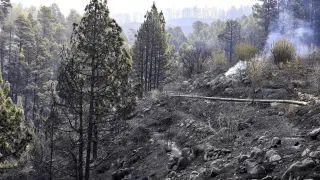 Imagen de archivo del incendio que arrasó la isla de La Palma.