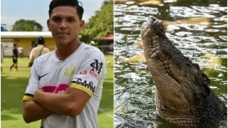 Chucho fue atacado por el cocodrilo en el río Cañas