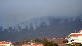 Medios aéreos del Gobierno de Canarias y del Estado se incorporan a labores de extinción del incendio de Candelaria (Tenerife)