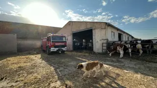 Los bomberos suministran agua a una granja bovina de Navarrete del Río.