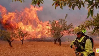 Actuación frente al incendio declarado en Almonacid de la Sierra
