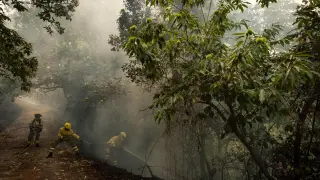 Los equipos de emergencia y los bomberos trabajan para extinguir el incendio que avanza por el bosque en La Orotava en Tenerife, Islas Canarias. LaPresse Only italy and Spain