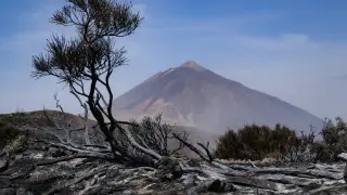El Parque Nacional del Teide este jueves tras el paso del incendio forestal que afecta a la isla de Tenerife.