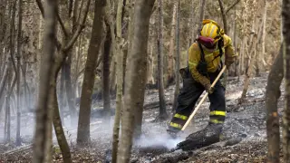 Miembros del Operativo de Prevención y Extinción de Incendios del Cabildo del Hierro (Brifor) colaboran en las labores de enfriamiento de las zonas afectadas por el incendio en Tenerife.