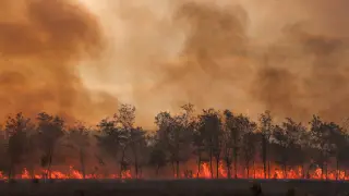 Un incendio forestal arde en el Parque Nacional Dadia en la región de Evros, Grecia.