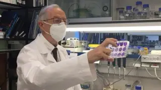 El virólogo Luis Enjuanes, en el Centro Nacional de Biotecnología del CSIC.