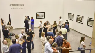 Inauguración de la exposición 'Simbiosis', de Rafael Navarro, en el CDAN de Huesca.