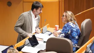 Álvaro Sanz (IU) habla con Mayte Pérez (PSOE) en un momento del pleno de las Cortes este jueves