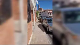 Un gran ciervo paseo por Orihuela del Tremedal