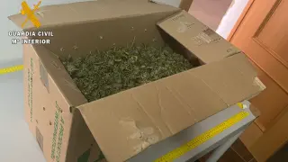 Cajas con cogollos de marihuana incautadas por la Guardia Civil en una vivienda de Alfamén.
