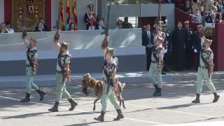 La Legión y su cabra Pacoli pasan por la tribuna real durante el desfile del 12 de octubre Día de la Fiesta Nacional