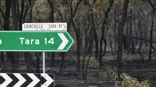 Un bosque calcinado tras el incendio en Tara