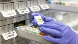 El CNIO acoge el primer repositorio mundial de muestras vivas de metástasis cerebral.