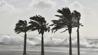 Cierran los parques y monumentos de Almería por el temporal de viento