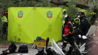Una joven fallece en Madrid tras caerle un árbol encima por las fuertes rachas de viento