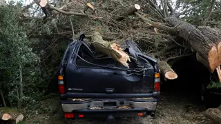 Un árbol caído sobre un vehículo en Clohars-Carnoet en Francia
