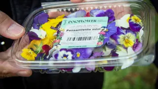 Flores comestibles de Ataraxial