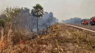 Los incendios arrasan el mayor humedal del planeta, el Pantanal