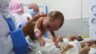 Algunos de los bebés evacuados de Al-Shifa