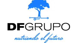 Logo Grupo DF