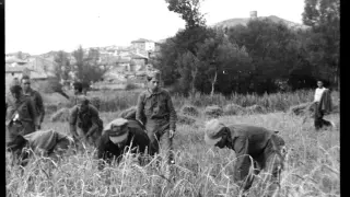Campesinos y soldados siegan el cereal en Pancrudo, que aparece al fondo.