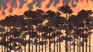 Campaña contra los incendios forestales