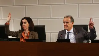 El presidente de la institución, Juan Antonio Sánchez Quero, en el pleno de la DPZ