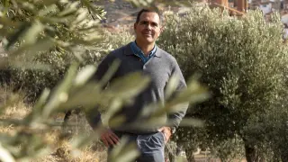 Alberto Alfonso, promotor de Apadrina un Olivo, en un olivar de Oliete.