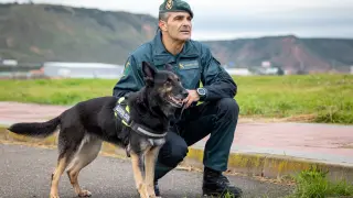 La merecida jubilación de la perra Dora tras 10 años detectando droga en la Guardia Civil