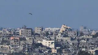 A bird flies over damaged buildings in Gaza, amid the ongoing conflict between Israel and the Palestinian Islamist group Hamas, as seen from southern Israel