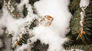 The wedding rings against the backdrop of a snow-covered tree
