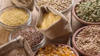 Variedad de cereales y semillas.