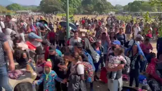 Multitudinaria caravana de migrantes para y se entrega a autoridades mexicanas en sur de México