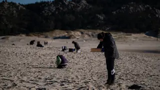 Voluntarios limpian una playa en La Coruña