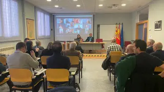 Un momento de la primera reunión del renovado Consejo Escolar de Aragón. Su presidenta, Marta Puente, al fondo a la derecha de la imagen