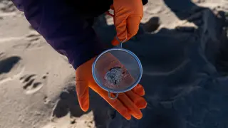 Continúa la limpieza de pellets en los arenales gallegos
