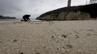 Pellets en la playa de As Lapas