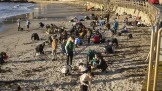 Varios voluntarios recogen pélets en la playa de Panxón, en Pontevedra