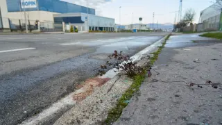 Dos jóvenes fallecidos en un choque entre dos coches en un polígono industrial de Vitoria
