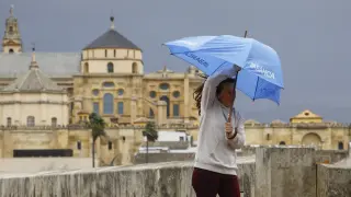 CÓRDOBA, 17/01/2024.-Una persona sostiene su paraguas contra el viento en Córdoba este miércoles. Las lluvias y los fuertes vientos caracterizarán la jornada de mañana jueves, con trece comunidades en alerta por la presencia de la borrasca Irene, que afecta a la Península y Baleares, según las previsiones de la Agencia Estatal de Meteorología (Aemet).- EFE/ Salas