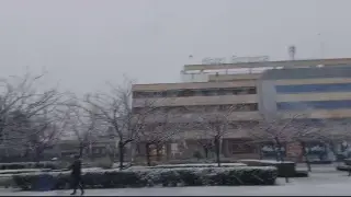 La nieve empieza a cuajar en las inmediaciones de La Romareda