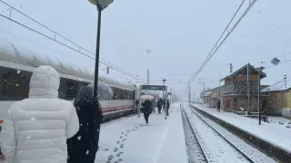 Tren parado en Grisén